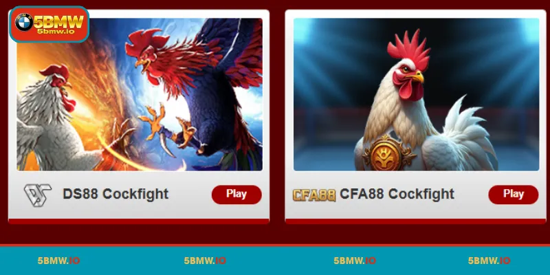 Exploring the Cockfighting Arena at 5BMW